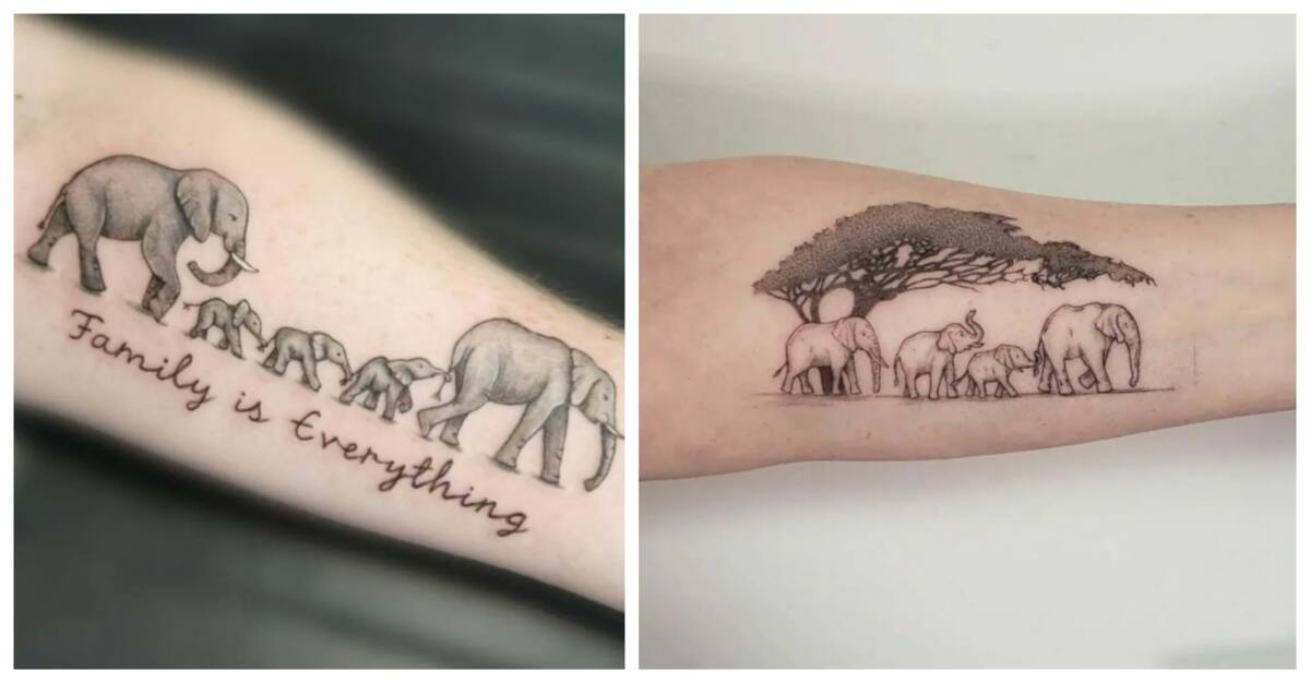 Motherhood Lotus Temporary Tattoo - Set of 3 – Little Tattoos